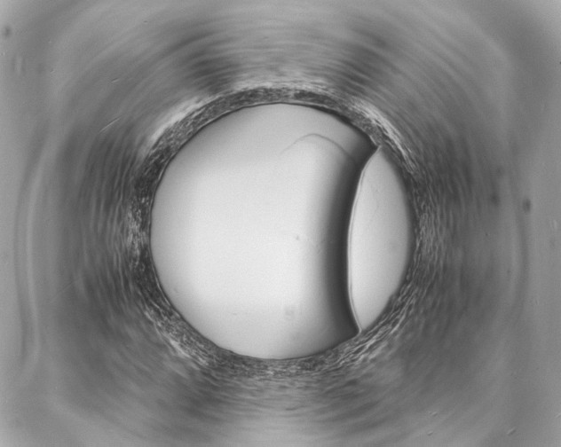X0000088071064200705110931