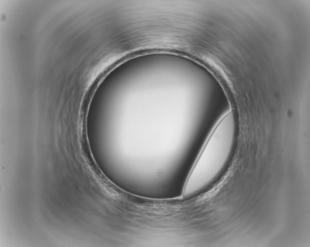 X0000088071077200705110931