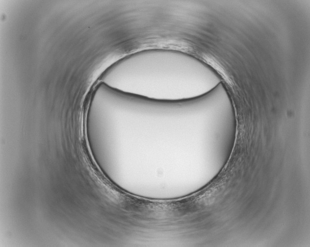 X0000088071079200705110931