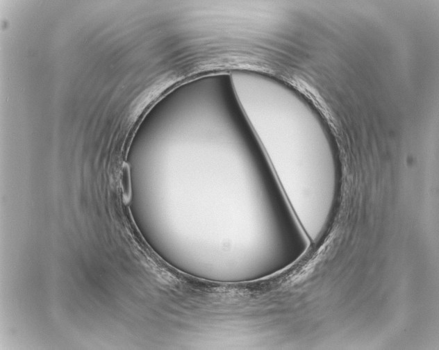 X0000088071081200705110931