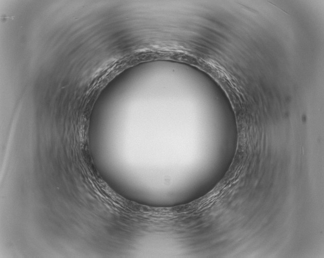 X0000088071110200705110930