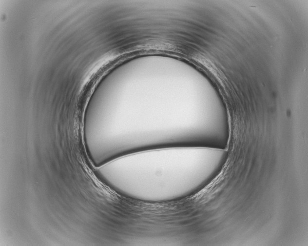 X0000088071115200705110930