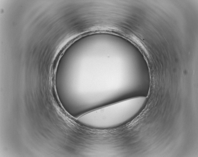 X0000088071124200705110930