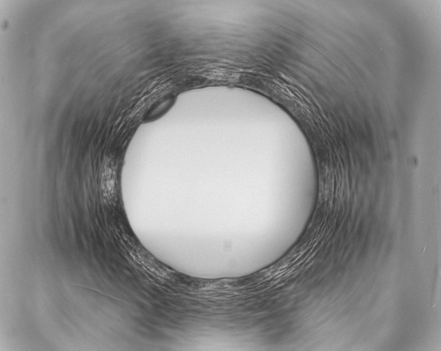 X0000088071154200705110930