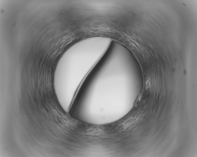 X0000088071156200705110930
