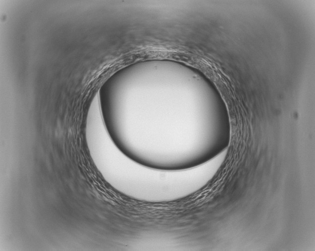 X0000088071157200705110930