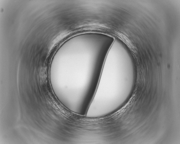 X0000088071164200705110930