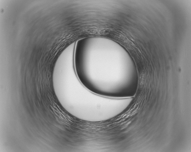 X0000088071202200705110928