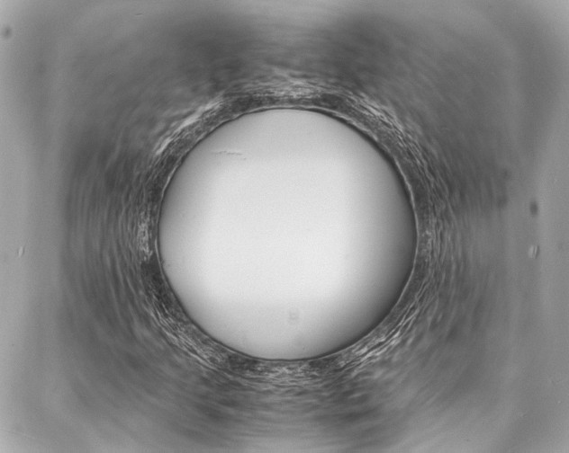 X0000088071205200705110929