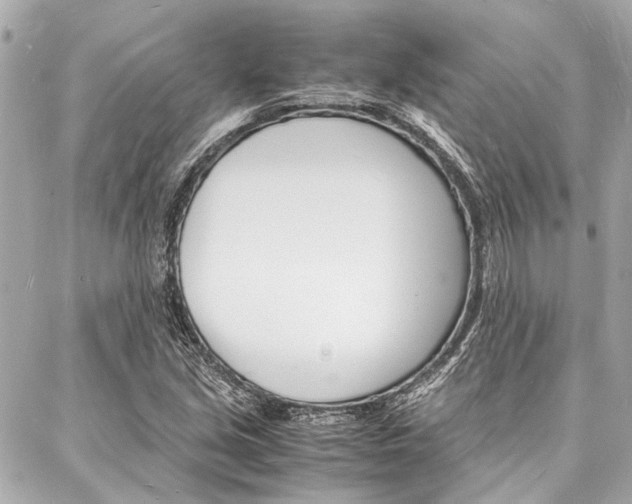 X0000088071213200705110929