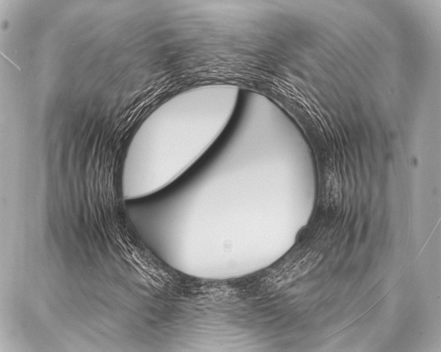 X0000088071250200705110928