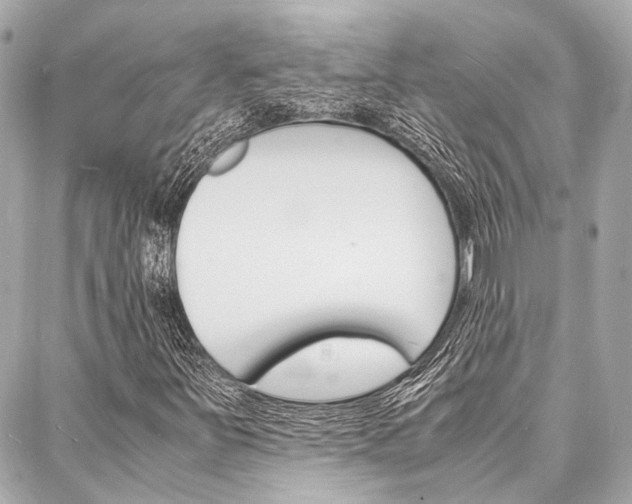 X0000088071251200705110928