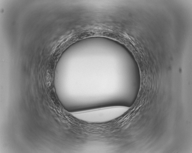 X0000088071253200705110928
