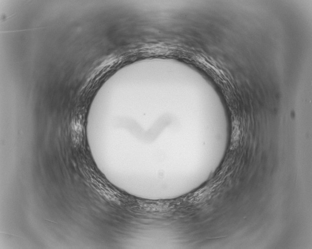 X0000088071254200705110928