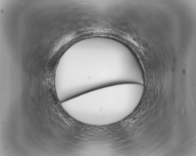 X0000088071255200705110928