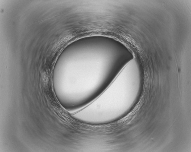 X0000088071257200705110928