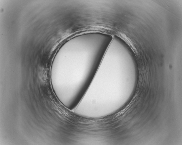 X0000088071260200705110928