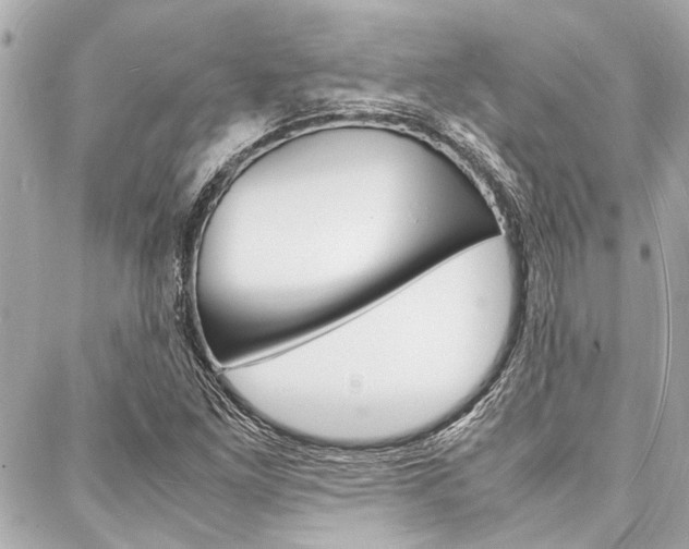 X0000088071261200705110928