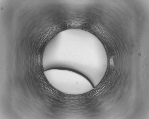 X0000088071299200705110927