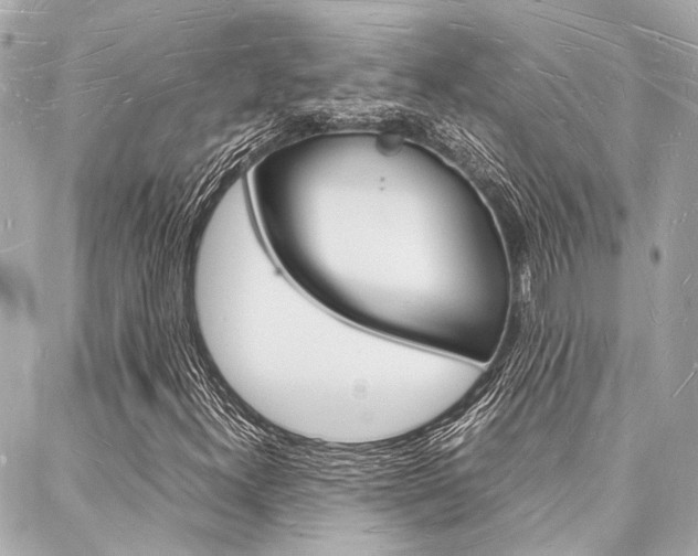 X0000088071300200705110927