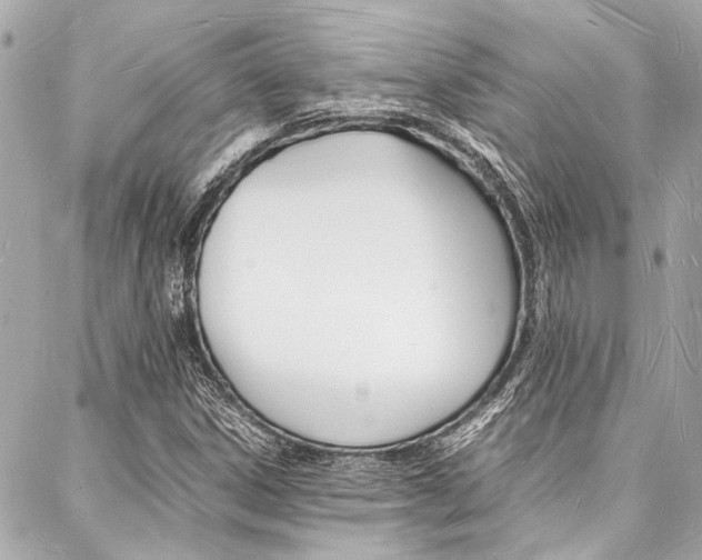 X0000088071306200705110927