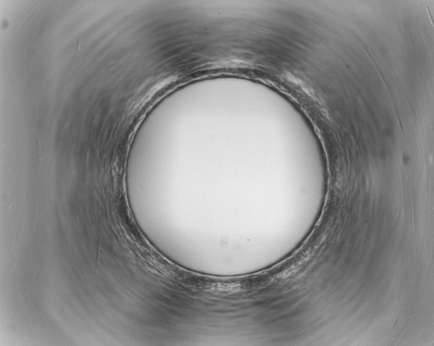 X0000088071313200705110927