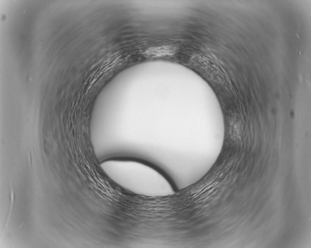 X0000088071393200705110925