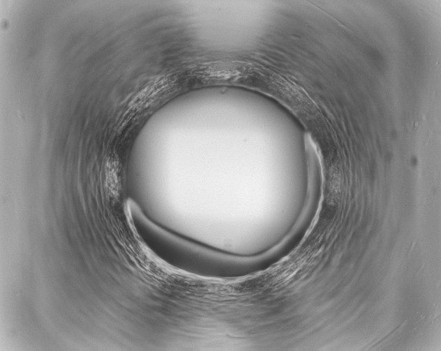 X0000088071394200705110925