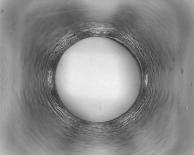 X0000088071396200705110925