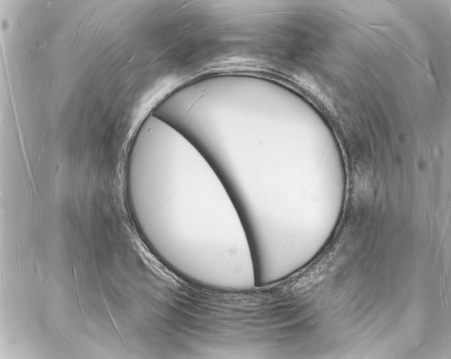 X0000088071413200705110926