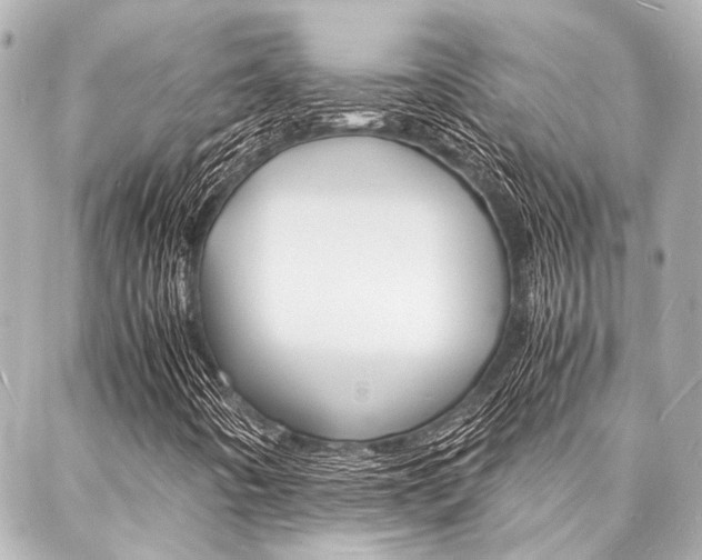 X0000088071442200705110925