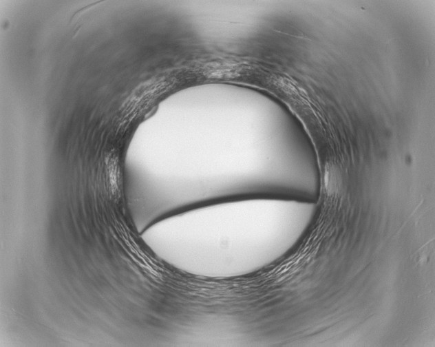 X0000088071444200705110925