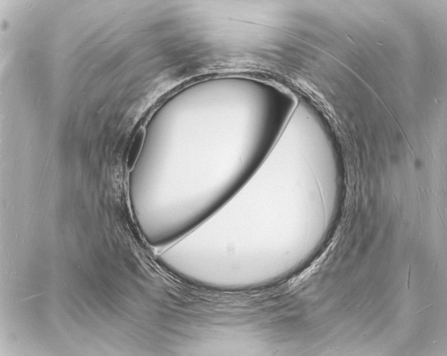 X0000088071457200705110925