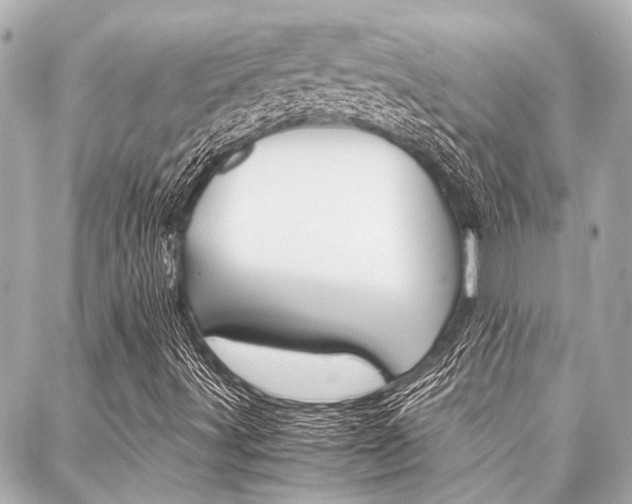 X0000088071491200705110924