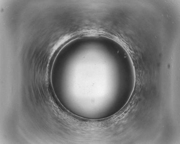 X0000088070008200705111417