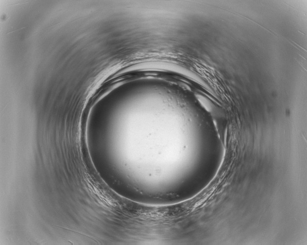 X0000088070148200705111415
