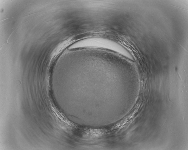 X0000088070149200705111415