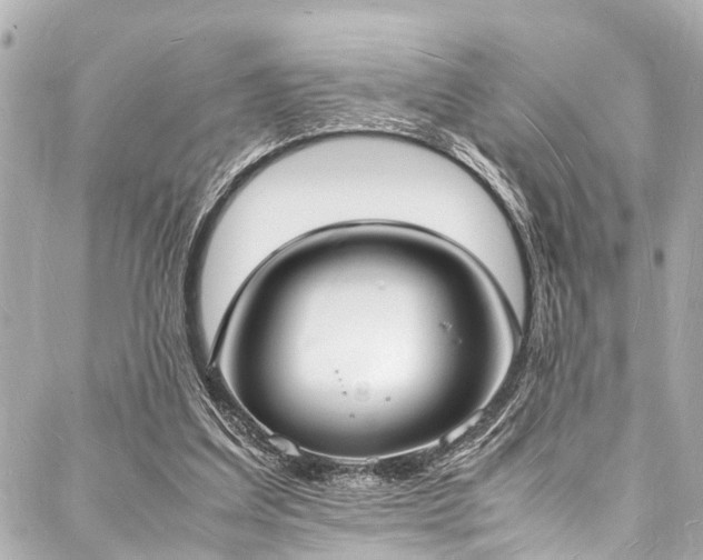X0000088070203200705111414