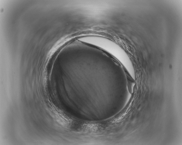 X0000088070295200705111413