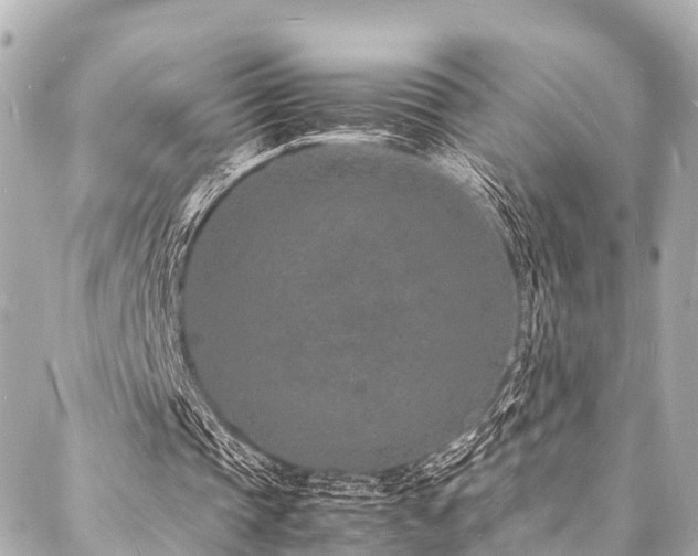 X0000088070337200705111411