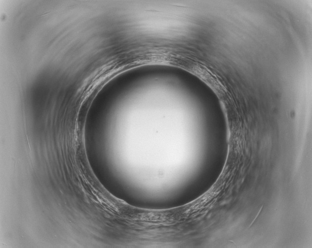 X0000088070338200705111411