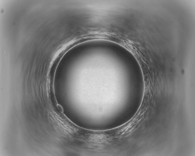X0000088070342200705111411