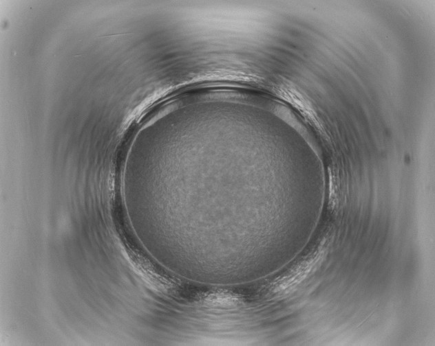 X0000088070348200705111412