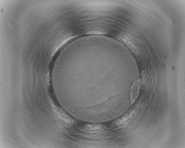 X0000088070351200705111412