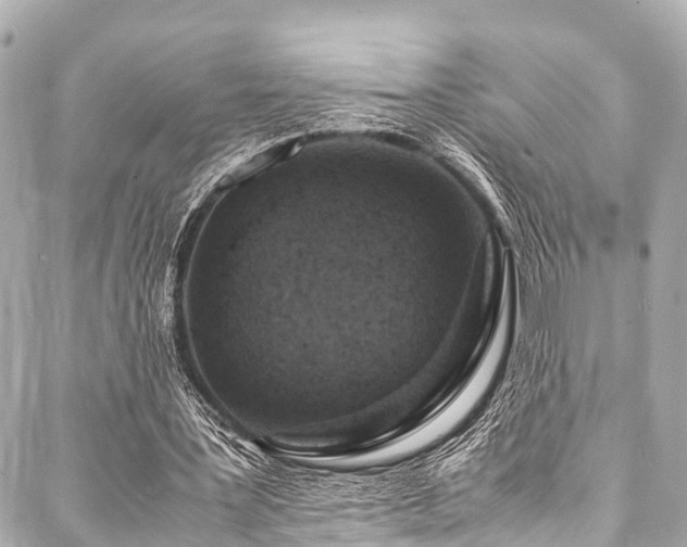 X0000088070387200705111411