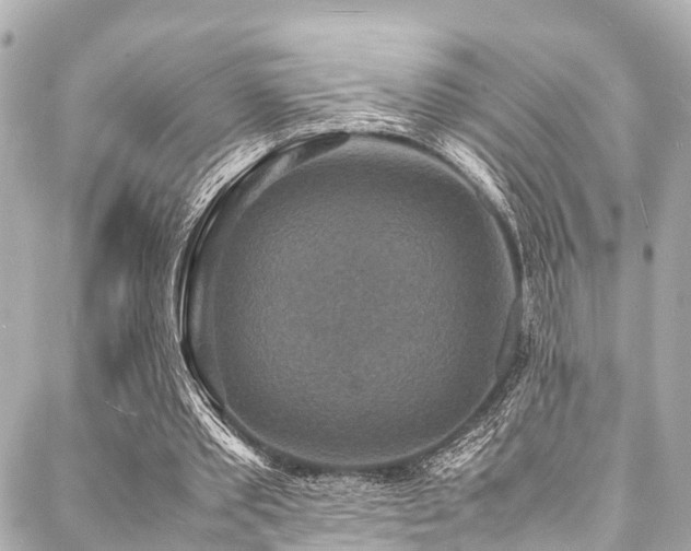 X0000088070389200705111411