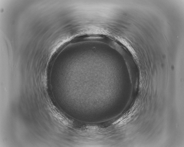 X0000088070391200705111411