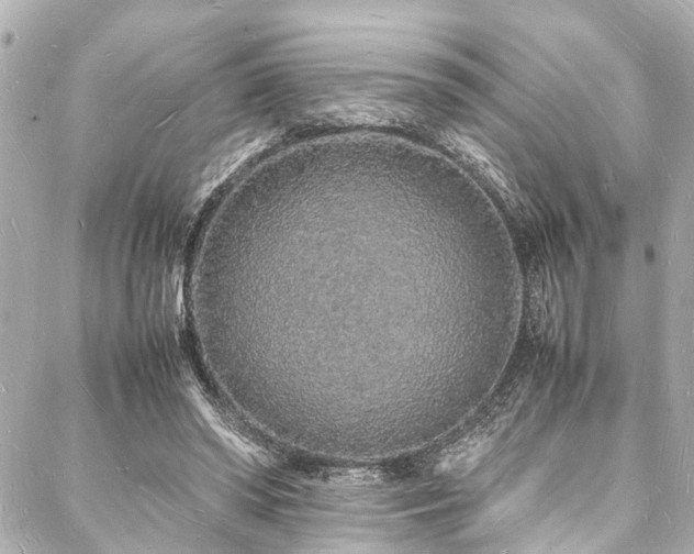 X0000088070398200705111411