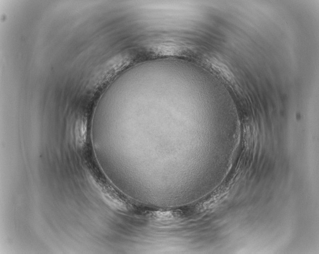 X0000088070406200705111411