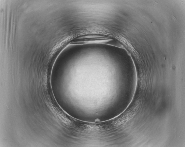 X0000088070442200705111410